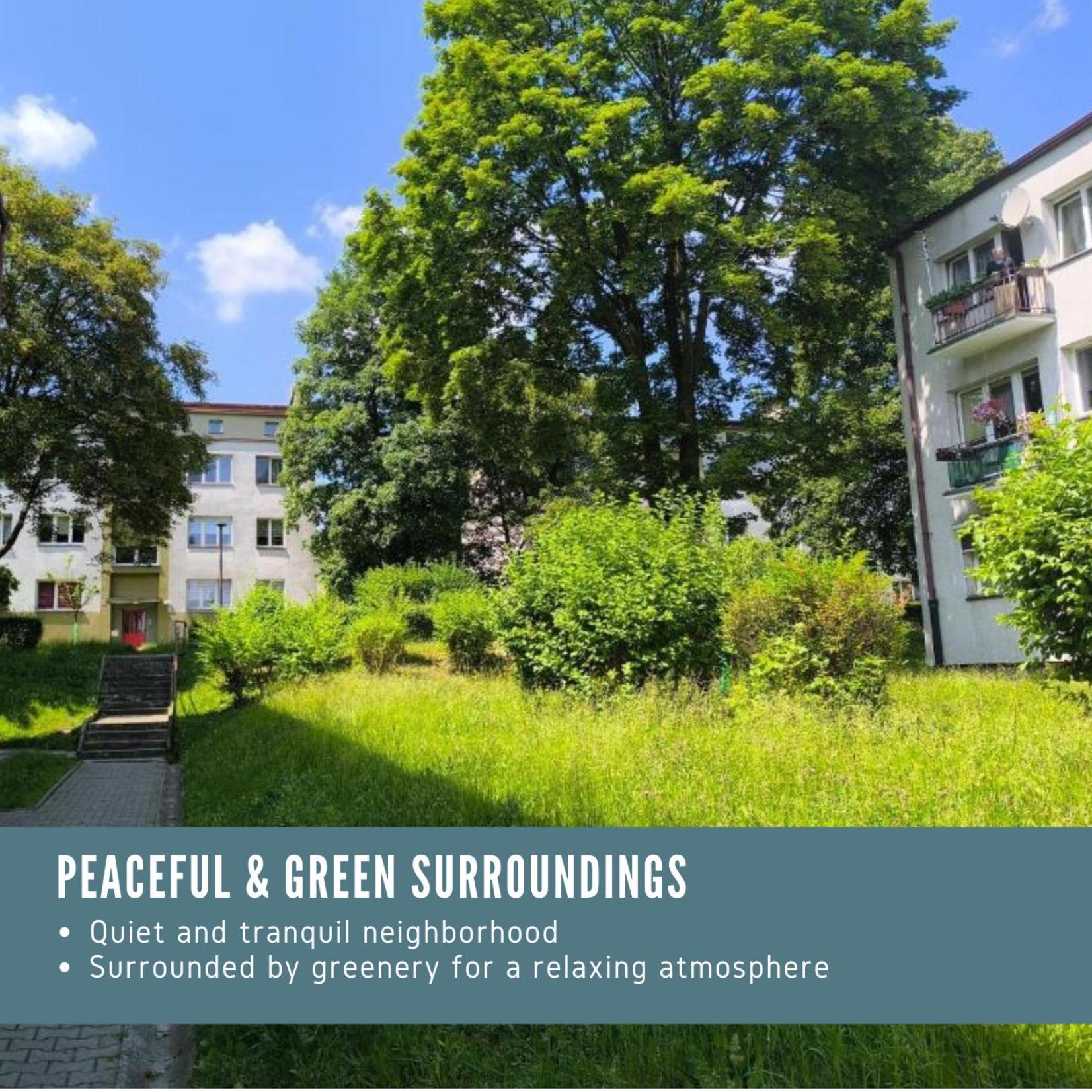 Apartment Brzozowa Kattowitz